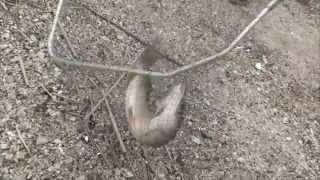 Днестр 21.04.14. Рыбалка, Pontoon21 Awaruna