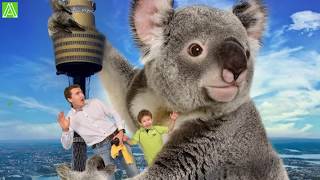 Поднимаемся на самую высокую башню Сиднея  (The Sydney Sky Tower Eye)  Покупаем сувениры