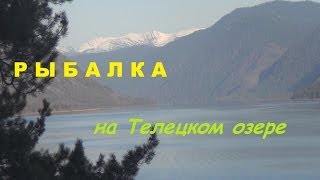 Алтай, телецкое озеро, рыбалка на Хариуса. 2 мая 2014.