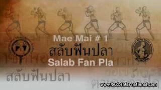 Muay hai Boran Forms Mae Mai vol.1
