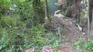 spot the sniper - ghillie suit test.