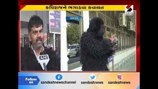 Monkey torture at Ahmedabad airport ॥ Sandesh News TV
