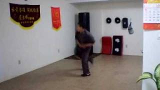 choy lee fut