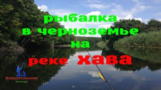 Рыбалка на реке Хава в День Рыбака!