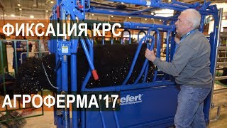 Станок для обслуживания и бонитировки КРС в полевых условиях. Выставка АгроФерма-2017