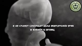 Сорок хадисов ан-Навави: Хадис [4]  Стадии творения человека.