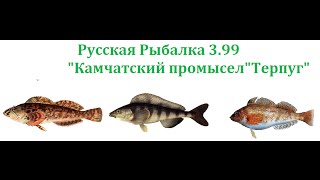 ●●Русская Рыбалка 3.99•Камчатский промысел"Терпуг"●●