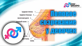 Урок №5. "Половое созревание у девочек"