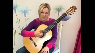 Duettino from Don Giovanni arranged and performed by Bridget Mermikides