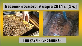 Пчеловодство ☆ Весенний осмотр ☆ 9 марта [1 ч.]