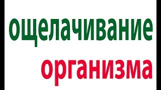 Копеечное средство для ощелачивания организма.Как остановить старение организма#малиновский