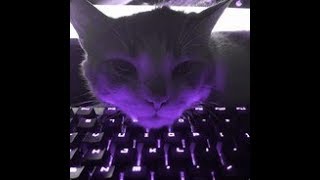 ★CS:GO/PUBG STREAM★