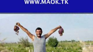 Arsen Petrosov - Tashkent   ( Арсен Петросов - Ташкент  )