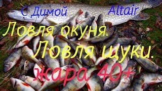 Ловля щуки.Ловля окуня.Жара 40+ Ловим и на Nextino Area 632SUL