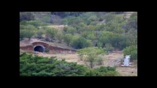 Морское. Урочище Чобан Куле в конце мая 2012