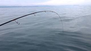 鯛ラバ・・・釣れすぎです!