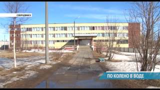 ПО КОЛЕНО В ВОДЕ