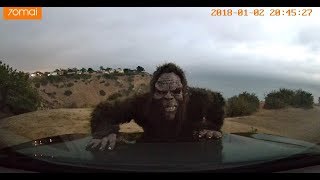 IGG  70Mai Dash Cam Lifestyle 60 Sec