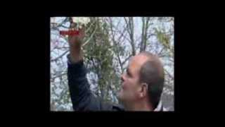 Rai 2 - Presunto Colpevole 2013 - Marco Simone - 1a parte