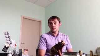 ♻️ Бренд риэлтора | Стандарты работы риэлтора | Первый день работы риэлтора, часть 1