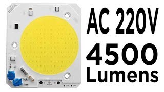 LUSTREON DIY COB LED Light Chip Bulb - AC110/220V - www.Banggood.com