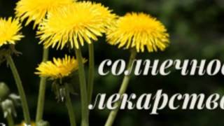 Момоқаймоқ нинг шифобахш хусусиятлари Momoqaymoq ning shifobahsh xususiyatlari