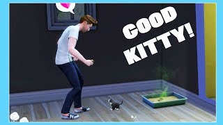 KITTY TOOK HER FIRST POO! THE SIMS 4 PETS