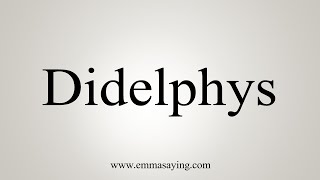 How To Say Didelphys