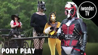 Pony Play Down In New Orleans
