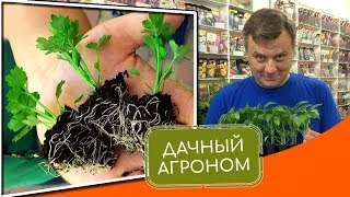 Как приготовить землю для рассады