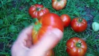"AFAMKA" Method or How I make my water and minerals micro-feeding system - Part 12