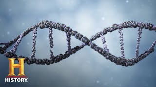 Ancient Aliens: Alien Messages in Our DNA (Season 9) | History