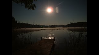звуки природы, ночной лес, пение птиц, музыка для сна