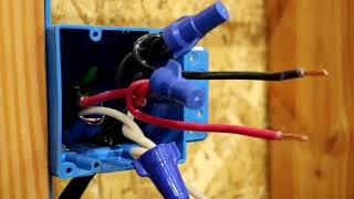 220V Circuit with Multiple Receptacles!!!