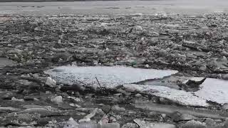 Rzeszów. Wisłok i zalew toną w śmieciach