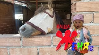 ? А ВЫ БЫЛИ НА РАНЧО || КОНЮШНЯ ? || Кормим ЛОШАДЕЙ АРБУЗОМ ?