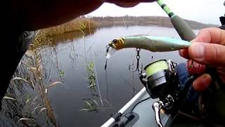 Рыбалка с Ринатом 10.10.19г. Tsuribito Dead Minnow 90F и Jerk Pop 90F рулят!