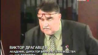 Николай Вавилов и Трофим Лысенко