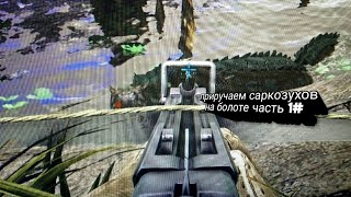 едем на болота приручать саркозухов в ARK часть 1#