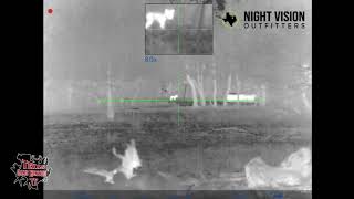 Pulsar Thermion XP50 Fox kill 100 yards