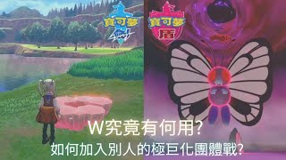 【寶可夢 劍/盾】遊戲攻略｜W有什麼用?｜如何加入極巨化團體戰?