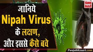 जानिये NIPAH VIRUS के लक्षण , और इससे कैसे बचे I Punjab kesari