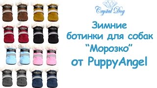 Обувь для собак - Ботинки для собак 'Морозко'