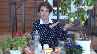 Как опрыскивать растения  Биоприлипатель Липосам
