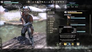 ESO Stamina Templar PvP build Thieves Guild patch
