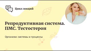 Репродуктивная система. ПМС. Тестостерон.