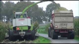 Mais 2014 | `t Edelhert | Garderen-Oud Dorp | Claas Jaguar 860