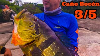 ?Tercer día de Pesca Caño Bocon  2020 ? | Hector Perez Pescando ?