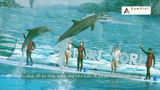 Du lịch Tuần Châu – Thiên đường trên vịnh Hạ Long| ADAM VIỆT MEDIA