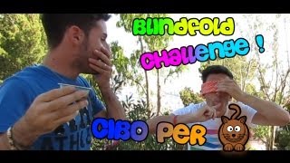 BLINDFOLD CHALLENGE! - Murry mangia... CIBO PER GATTI! - Murry&GiampyTek!
